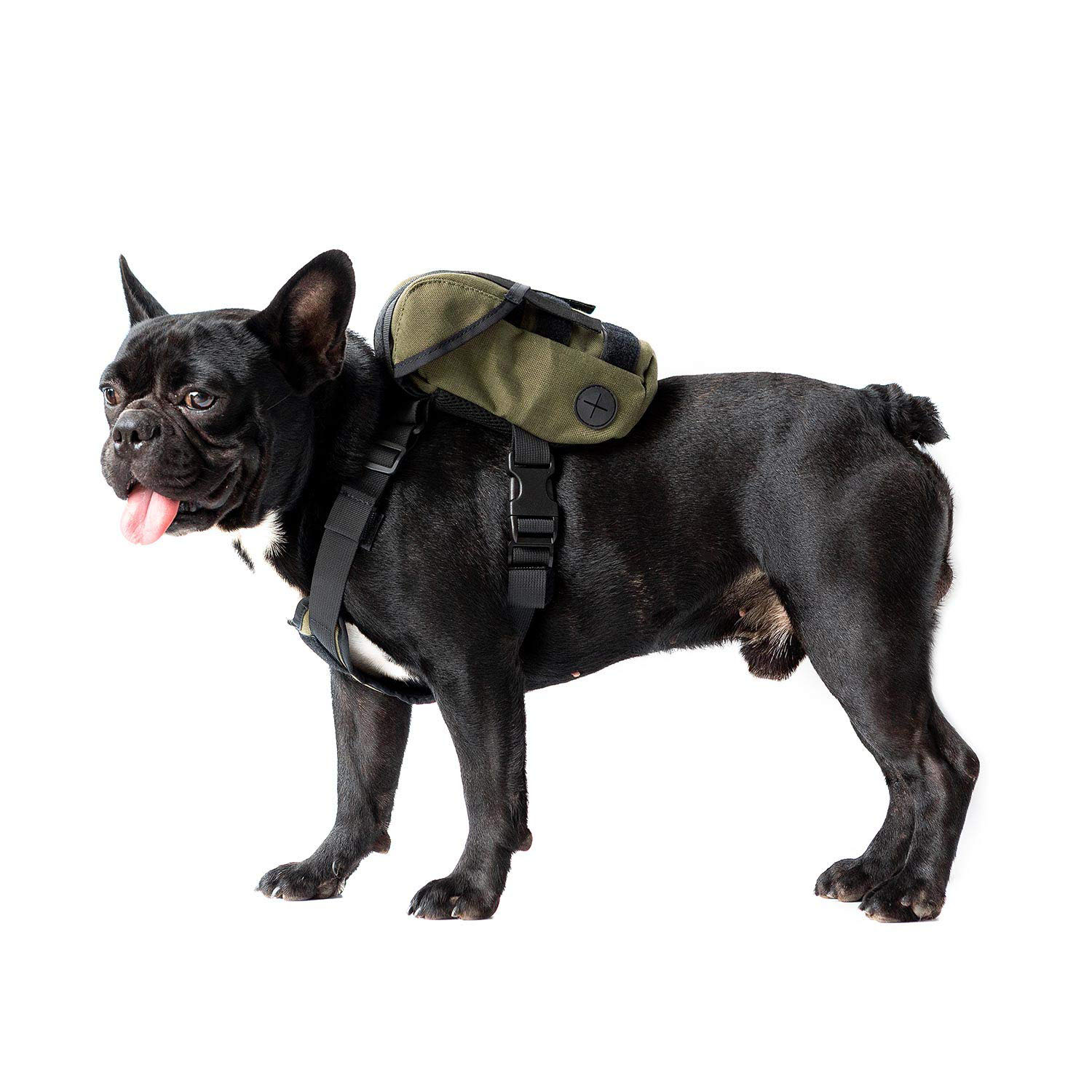  Pack pour chien petit et moyen avec sac à litière